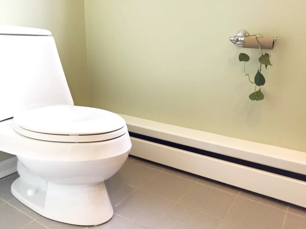 A toilet and leaves hanging on the napkin holder in Calgary An